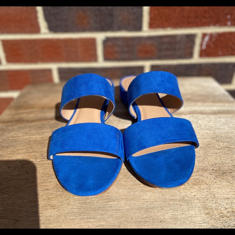 Royal Blue Mules  flat